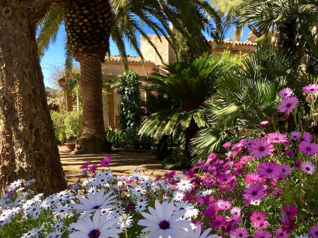 The beautiful garden of our boutique hotel