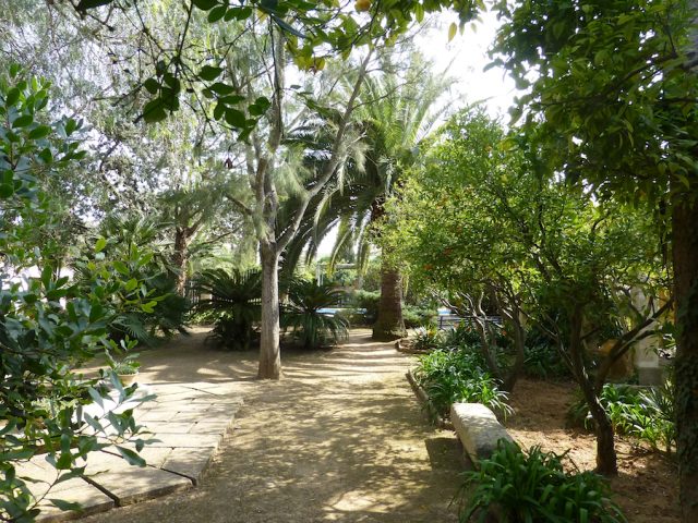 Malvasia - Garden View