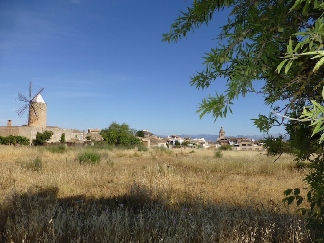 Vista panoramica al pueblo Algaida.