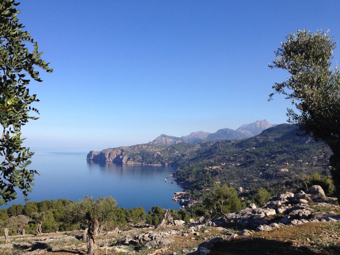 Nordküste in der Sierra de Tramuntana