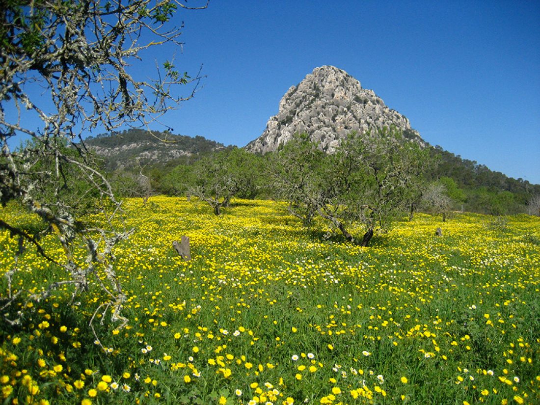 El Puig de ses bruixes cerca de Algaida