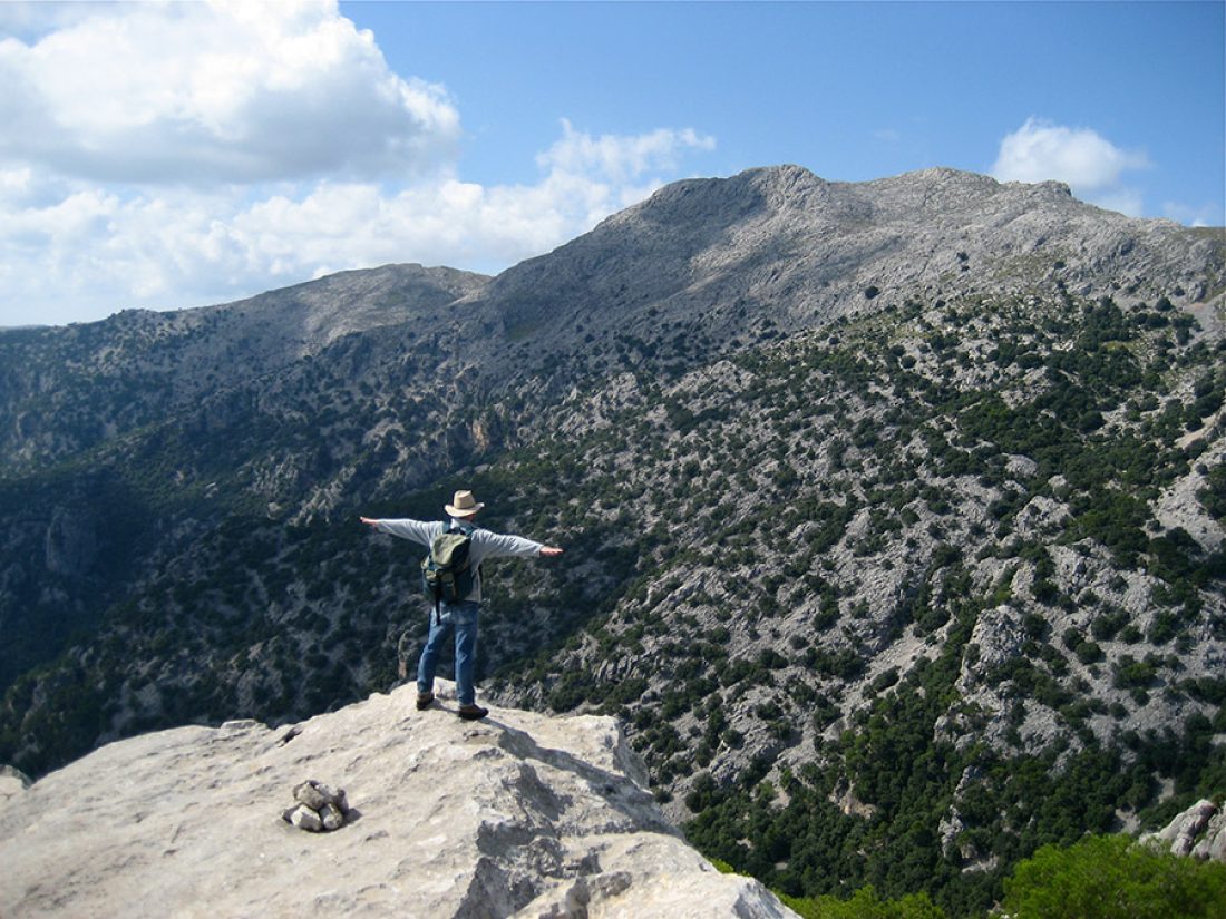 Hiking - on the top