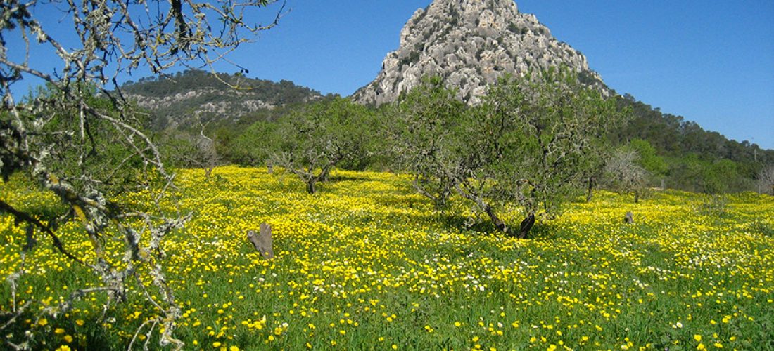 Gourmet Hiking in Springtime