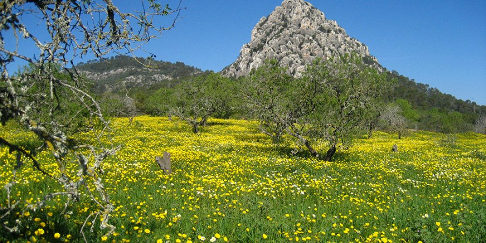 Gourmet Hiking in Springtime