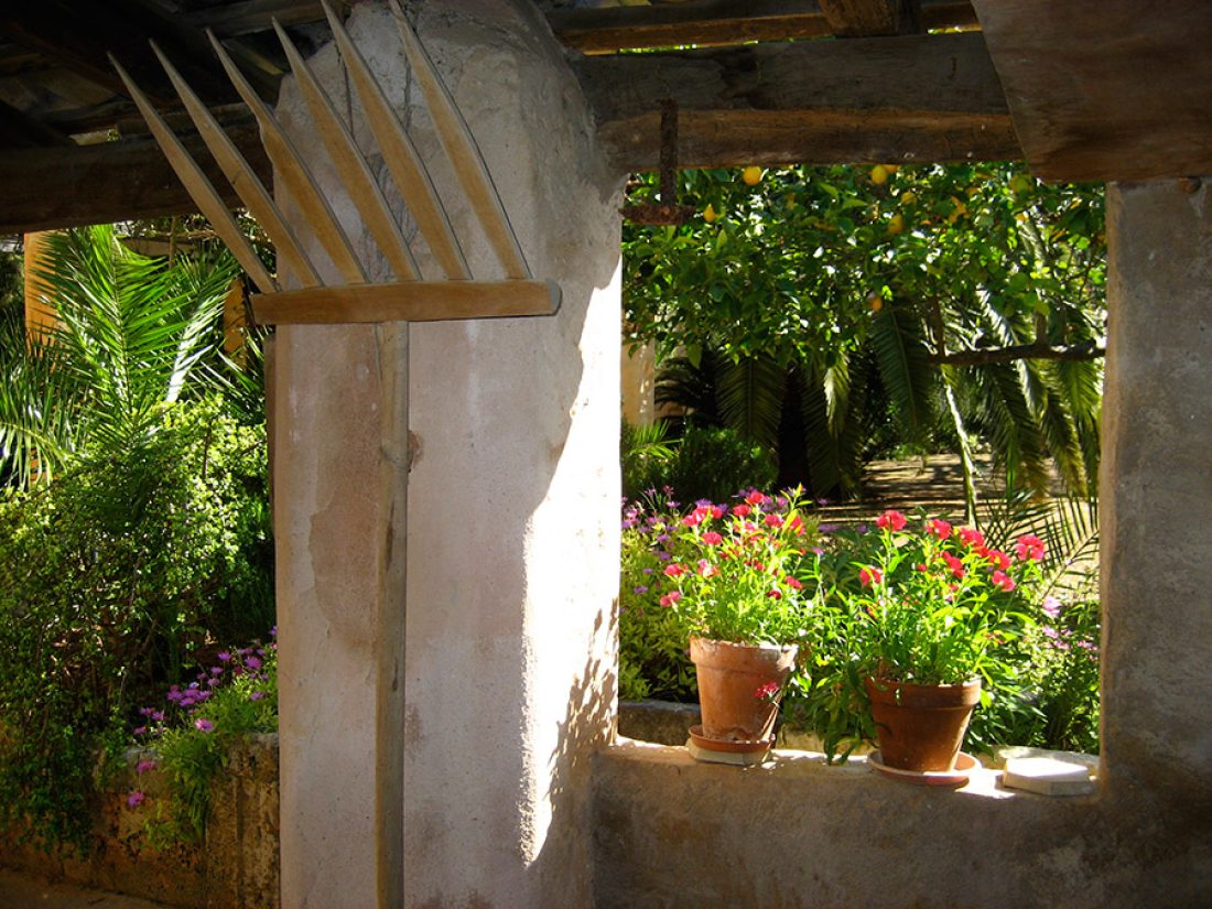 El jardín de la Finca Raims